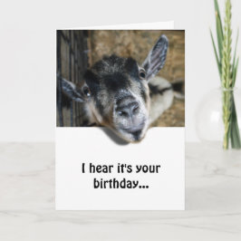 Tarjeta Nosy Goat mirando hacia arriba - Cumpleaños