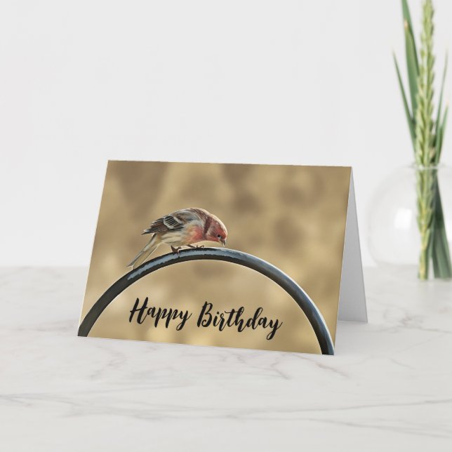 Tarjeta Not Quite Over the Hill - Birthday Card (Anverso)