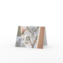 Tarjeta - Nota - Forlorn Kitten