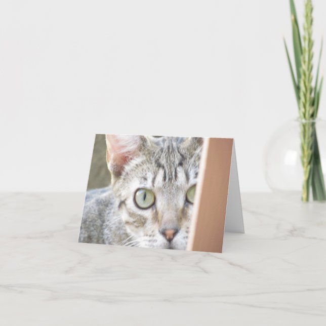 Tarjeta - Nota - Forlorn Kitten (Anverso)