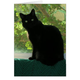 Tarjeta - Nota - gato negro en la ventana