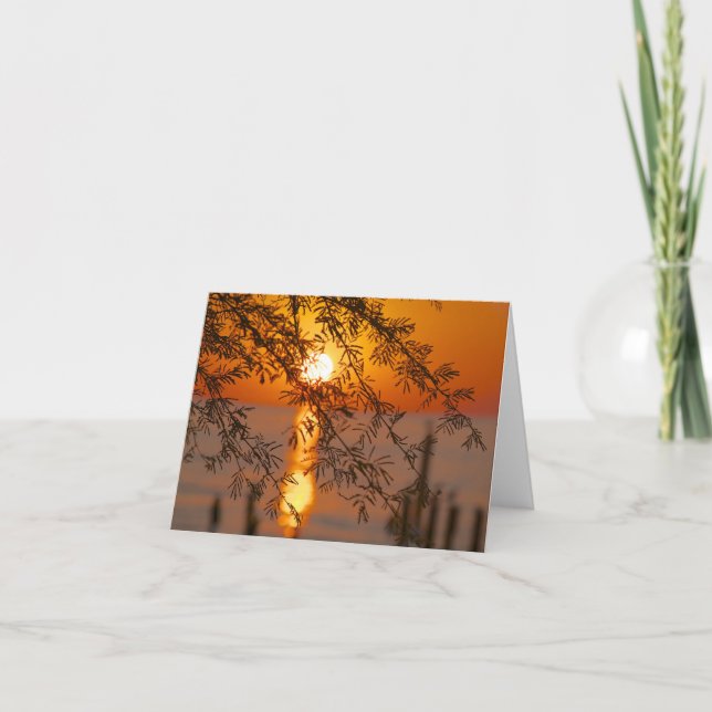 Tarjeta Note Card (Anverso)