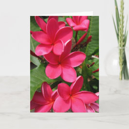 Tarjeta note card - pink plumerias