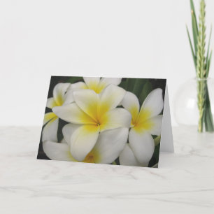 Tarjeta note card - white plumerias