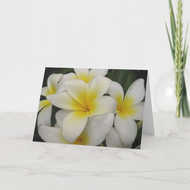 Tarjeta note card - white plumerias (Anverso)
