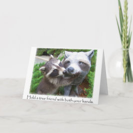 Tarjeta Notecard amigos de Raccoon