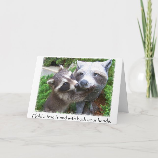 Tarjeta Notecard amigos de Raccoon (Anverso)