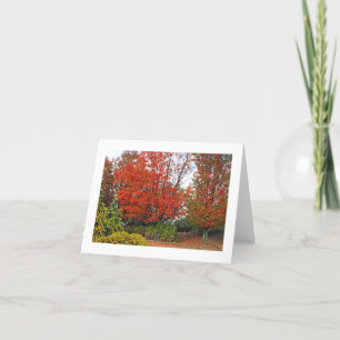 TARJETA NOTECARD, ÁRBOL ROJO LUMINOSO Y SALIDAS EN EL SUEL