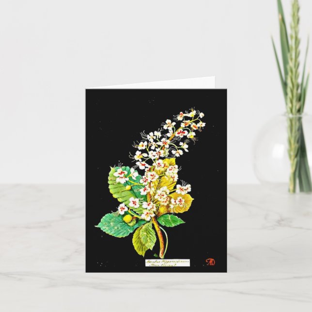 Tarjeta Notecard-Arte Botánico-Mary Delany 10 (Anverso)