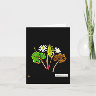 Tarjeta Notecard-Arte Botánico-Mary Delany 13