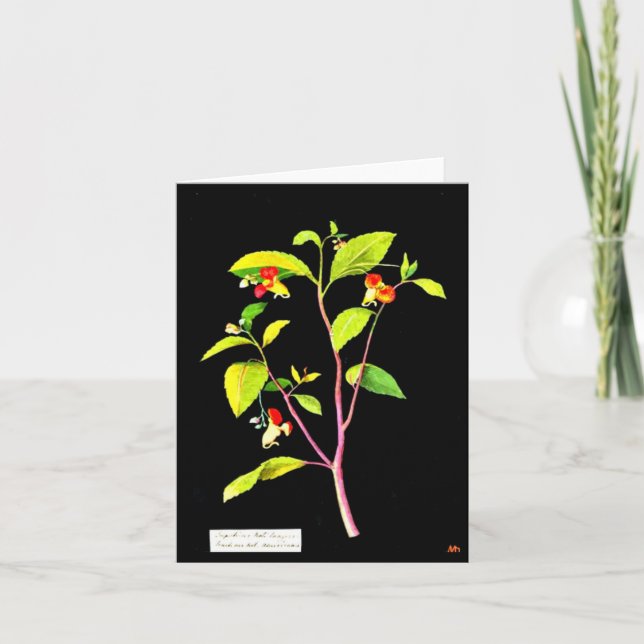Tarjeta Notecard-Arte Botánico-Mary Delany 7 (Anverso)
