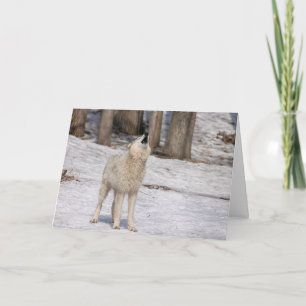 Tarjeta Notecard blanco de llantón blanco
