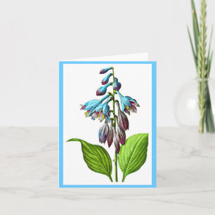 Tarjeta Notecard-Botanicals-Pedro José Redoute 17