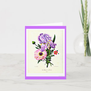 Tarjeta Notecard-Botanicals-Pedro José Redoute 19