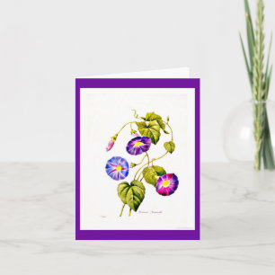 Tarjeta Notecard-Botanicals-Pedro José Redoute 6