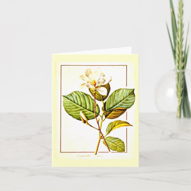 Tarjeta Notecard-Botanicals-Pierre Joseph Redoute 12 (Anverso)
