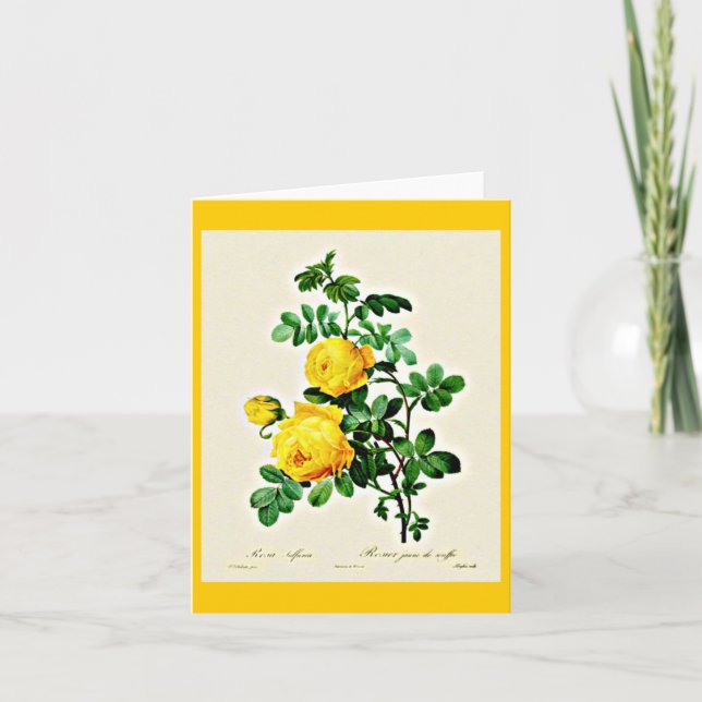 Tarjeta Notecard-Botanicals-Pierre Joseph Redoute 13 (Anverso)