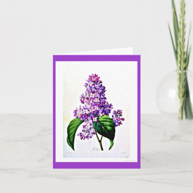 Tarjeta Notecard-Botanicals-Pierre Joseph Redoute 8 (Anverso)
