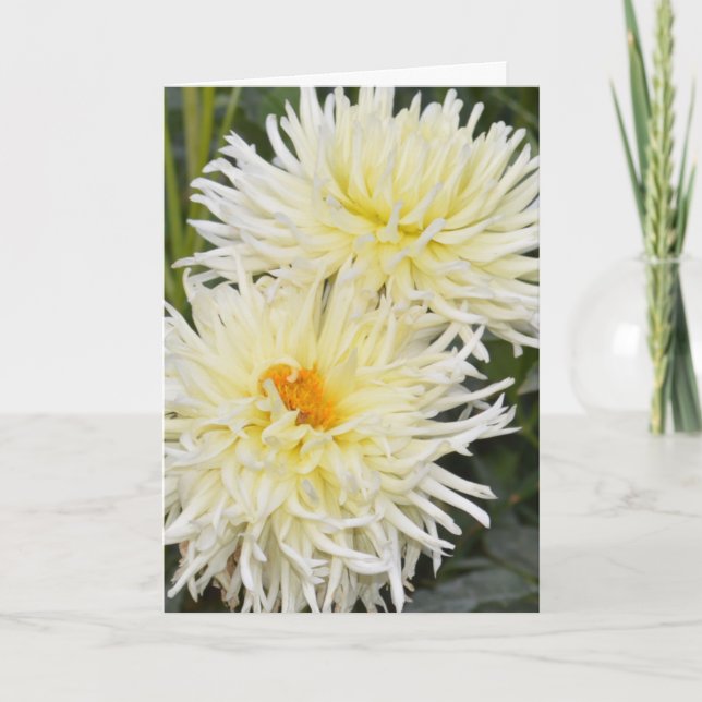 Tarjeta Notecard con dos dahlias blancas (Anverso)