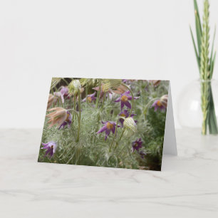 Tarjeta Notecard con el azafrán salvaje