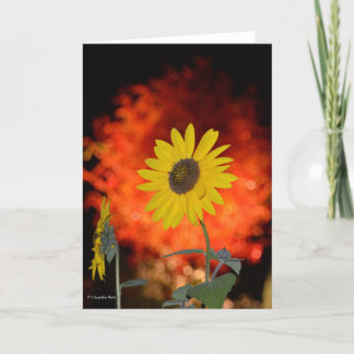 Tarjeta Notecard con el girasol