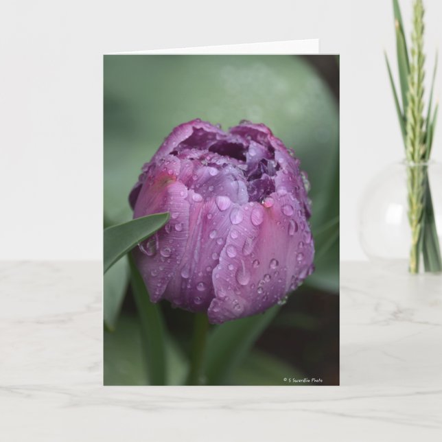 Tarjeta Notecard con el tulipán púrpura (Anverso)