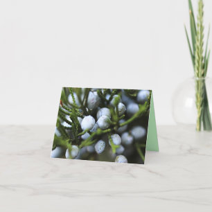 Tarjeta Notecard con Juniper Berries