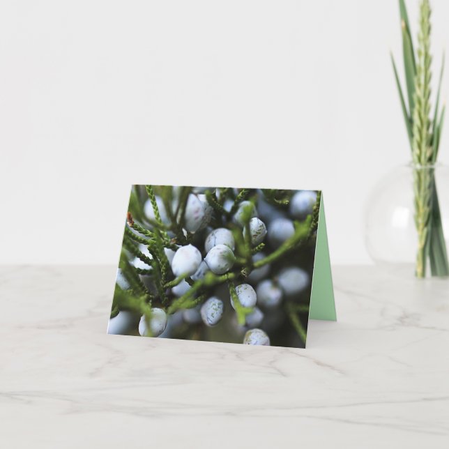 Tarjeta Notecard con Juniper Berries (Anverso)