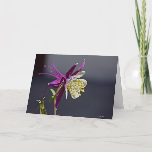 Tarjeta Notecard con la flor de Columbine de la (Anverso)