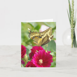 Tarjeta Notecard con mariposa de cola Swallowtail