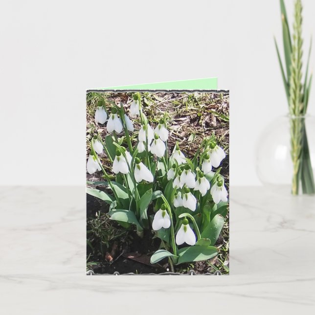 Tarjeta ¡Notecard con Snowdrop! (Anverso)