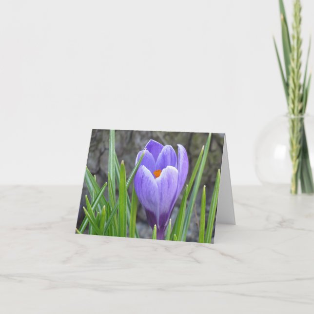 Tarjeta Notecard - Crocus (Anverso)