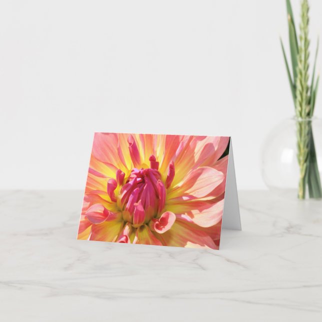 Tarjeta Notecard de Dahlia amarillo y rosa 4x6 (Anverso)