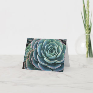 Tarjeta Notecard de Echeveria