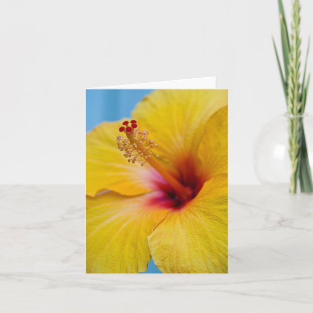 Tarjeta Notecard de flor amarilla (Anverso)