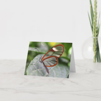 Tarjeta Notecard de la mariposa de Glasswing