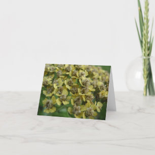 Tarjeta Notecard de la milenrama