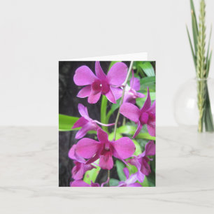 Tarjeta Notecard de la orquídea