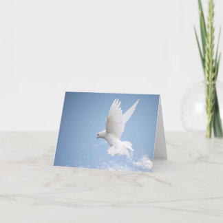 Tarjeta Notecard de la paloma del blanco