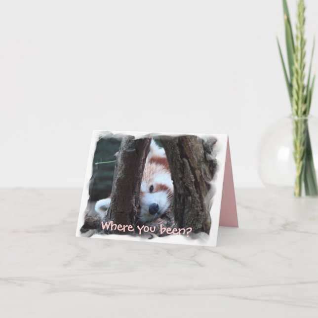 Tarjeta Notecard de la panda roja: ¿"Dónde usted sido? ¡Le (Anverso)
