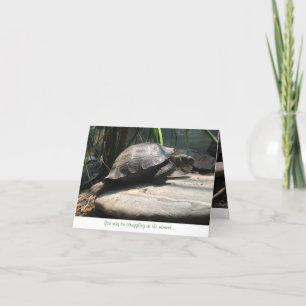 Tarjeta notecard de la tortuga del bebé (estímulo)