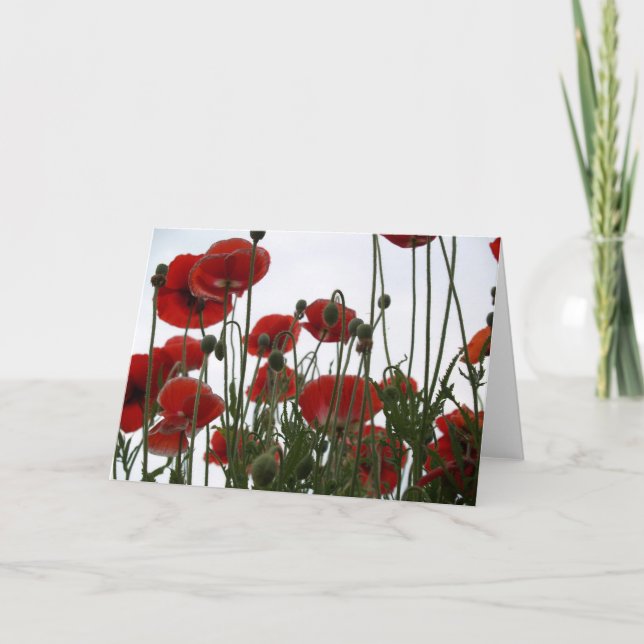 Tarjeta notecard de las amapolas (Anverso)