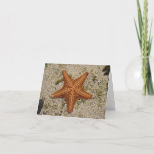 Tarjeta Notecard de las estrellas de mar