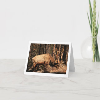 Tarjeta Notecard de los alces