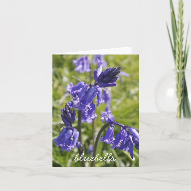 Tarjeta Notecard de los Bluebells (Anverso)