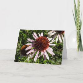 Tarjeta Notecard, deflector púrpura