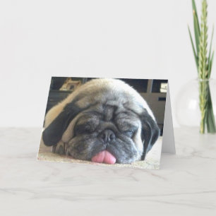 Tarjeta notecard del barro amasado el dormir