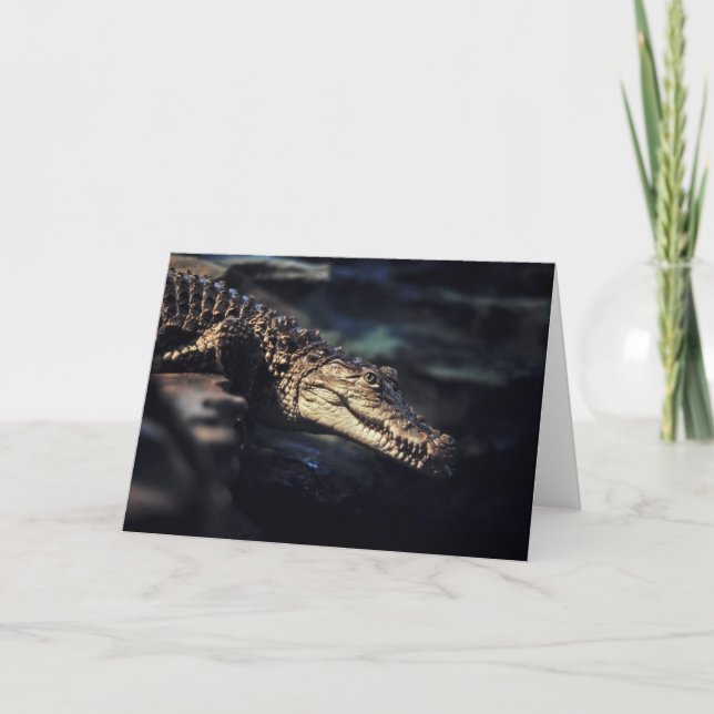 Tarjeta Notecard del cocodrilo del caimán (Anverso)