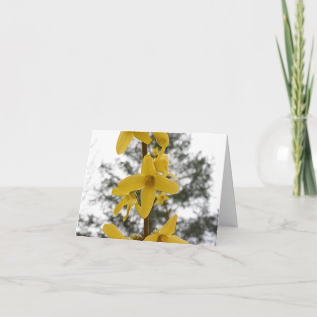 Tarjeta Notecard del flor del Forsythia (Anverso)