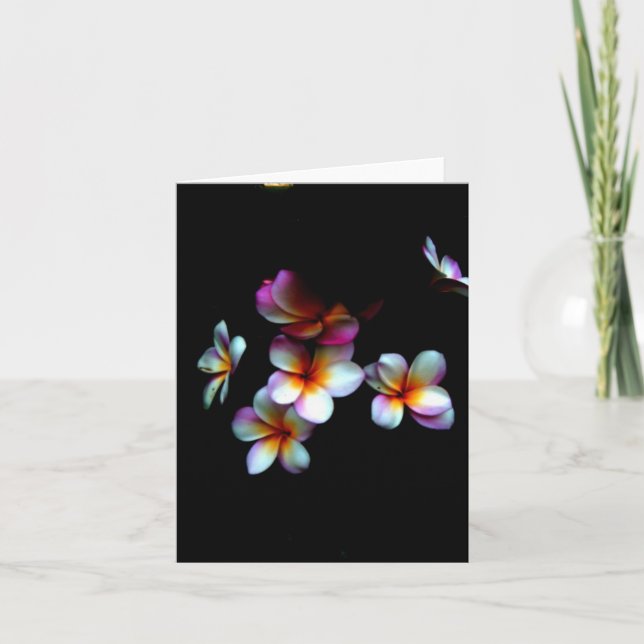Tarjeta notecard del frangipani (Anverso)